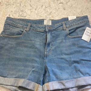 Caslon Boyfriend fit shorts